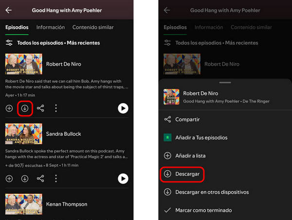 Descargar Video de Spotify en Móvil