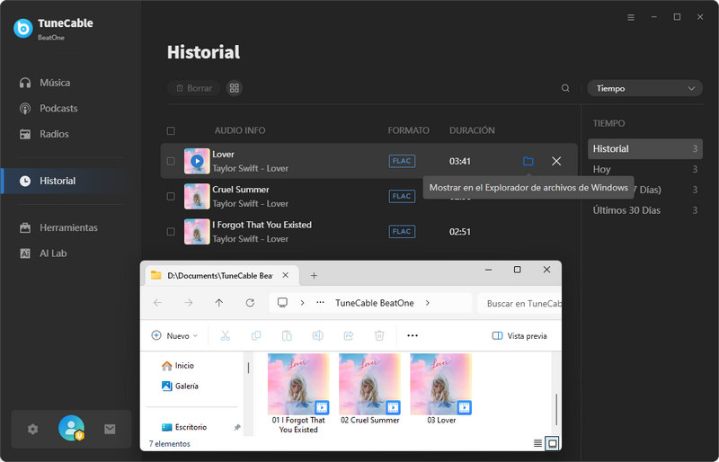 música descargada