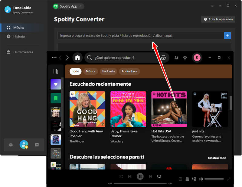 arrastrar y soltar canciones de spotify en spotify downloader