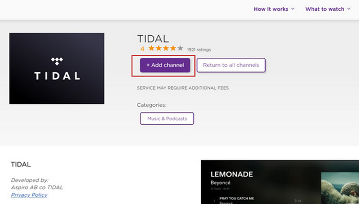 add tidal to roku tv