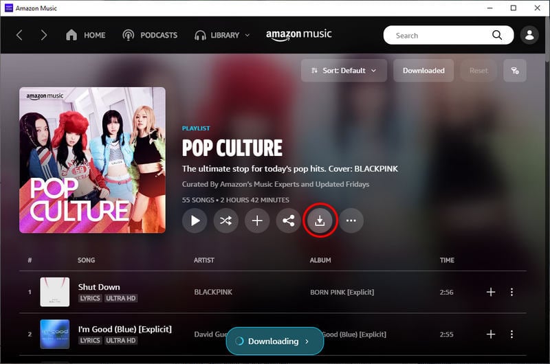 download amazon music playlist on pc