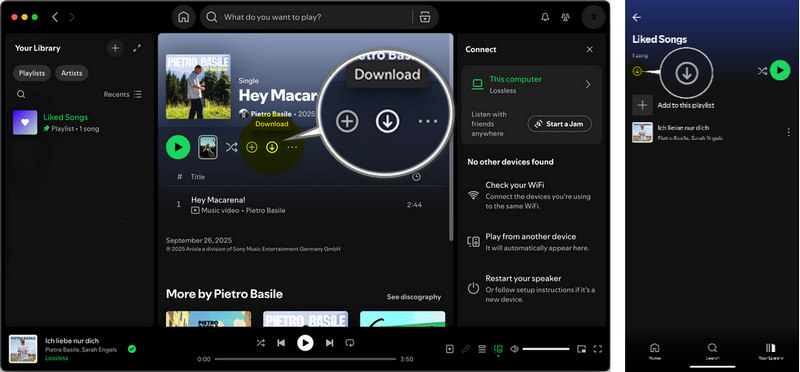 download spotify lossless with premium
