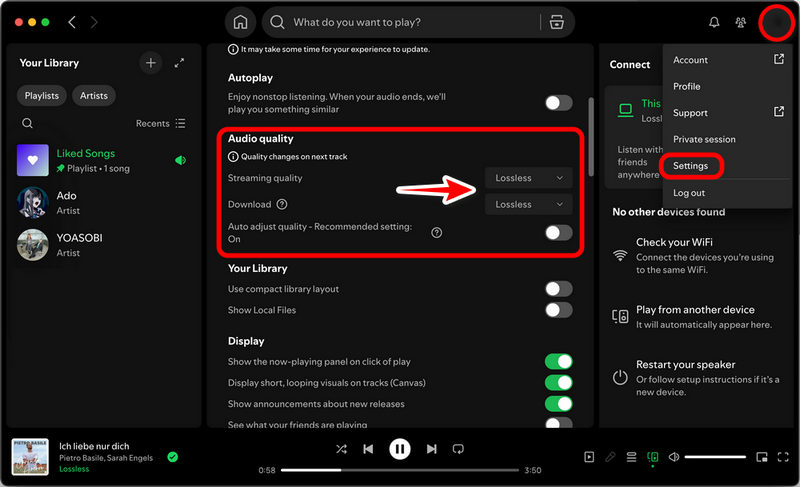 Enable Spotify Lossless Audio on Desktop Spotify App
