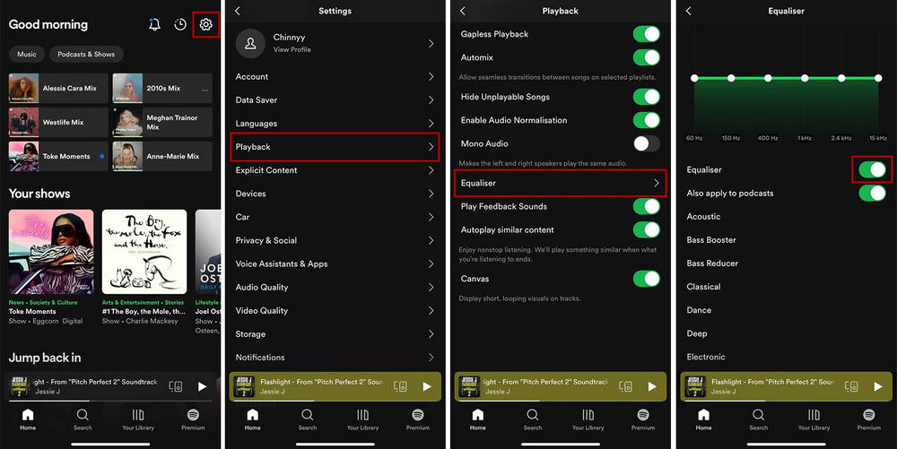 Spotify Equalizer on iOS