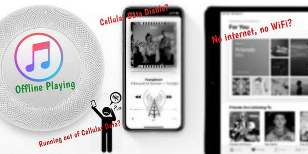 play apple musi without using cellular data