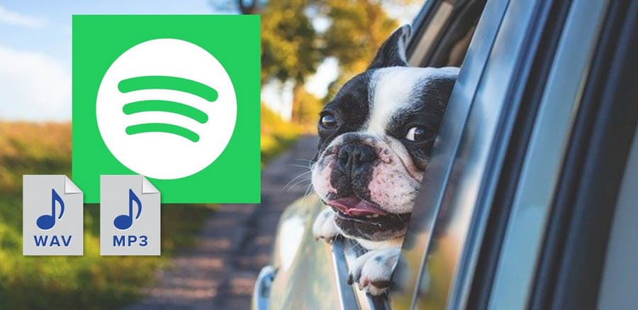 Spotify Music in a car