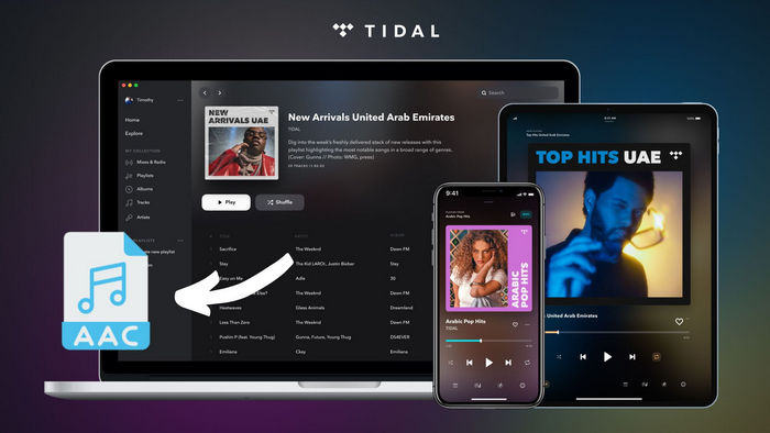 Convert Tidal Music to AAC in Master Quality