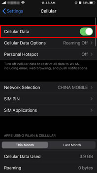 check network settings on iphone