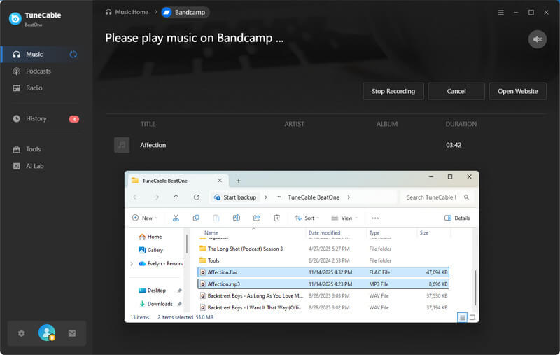 downloaded bandcamp music