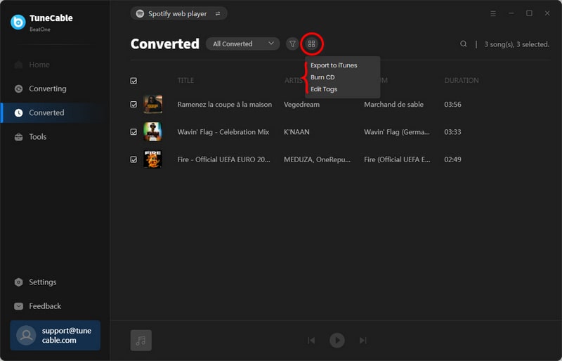 choose songs to download