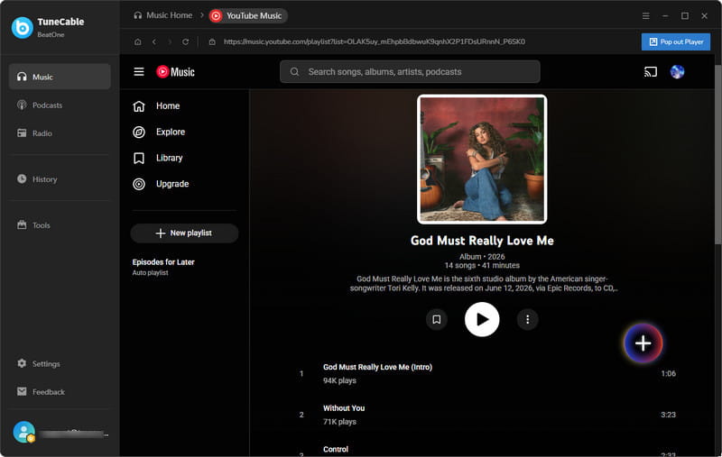 add YouTube Music songs for download