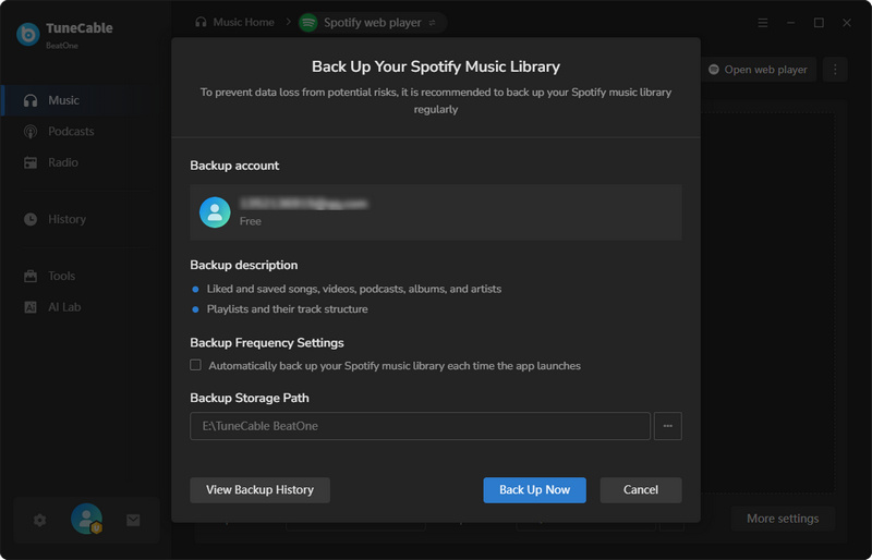 back up your spotify music library
