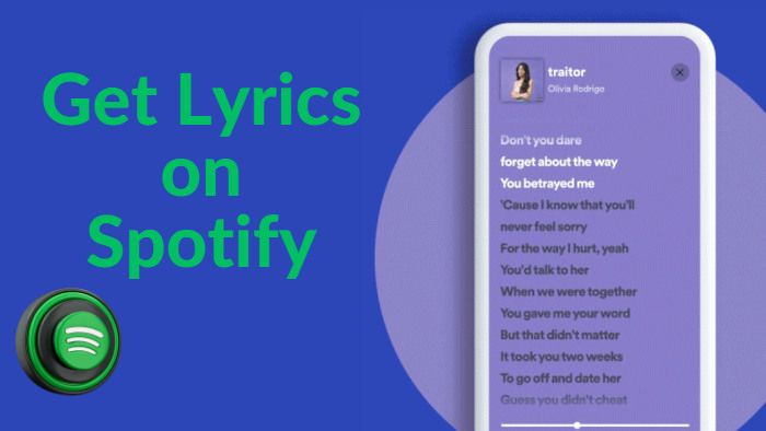 Get Lyrics on Spotify