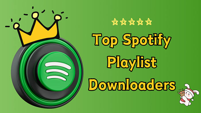 Top Spotify Music Playlist Downloaders
