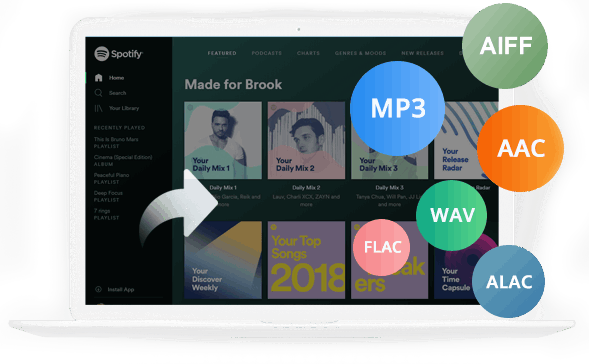 spotify music downloader