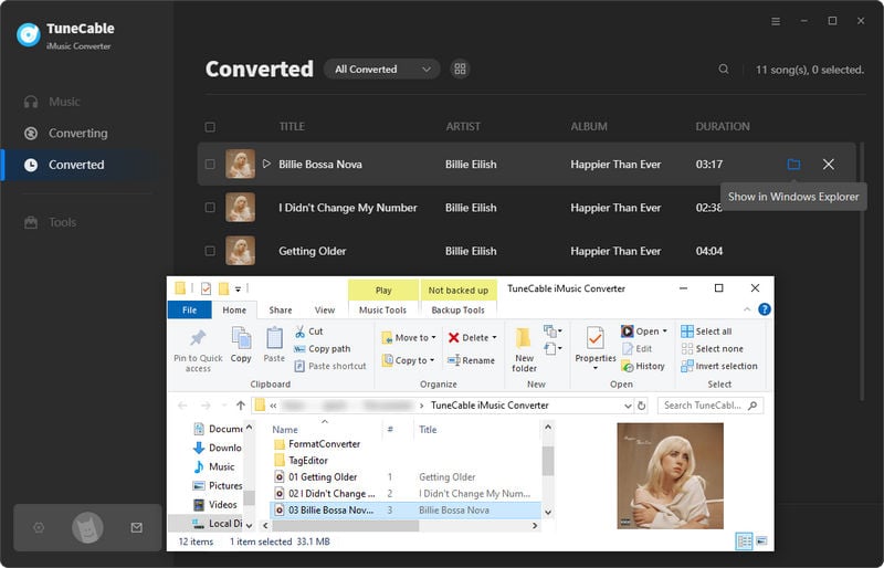 apple songs on local pc