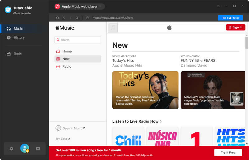 embedded web player