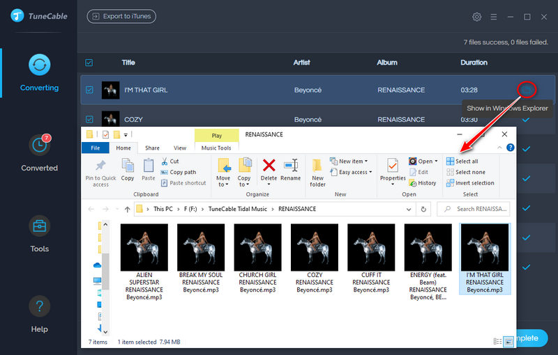 download tidal music as mp3