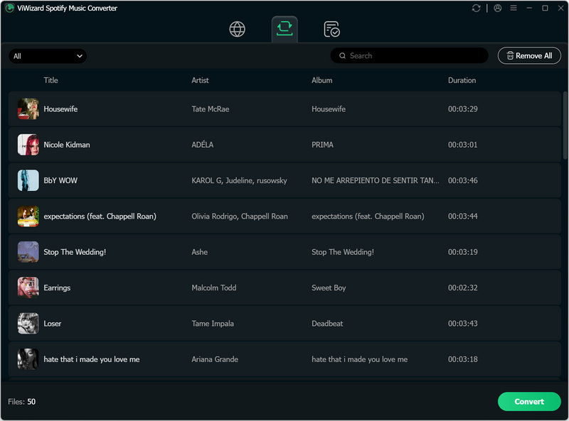 ViWizard Spotify conversion process