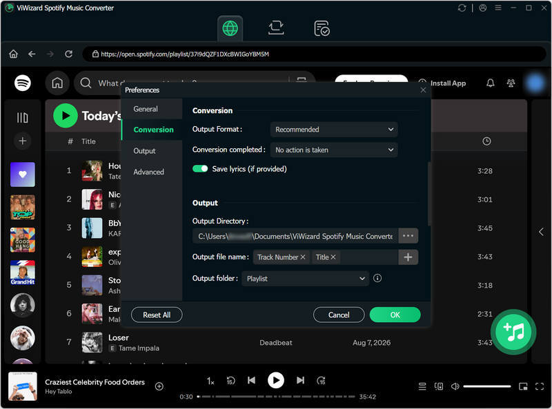 ViWizard output settings interface