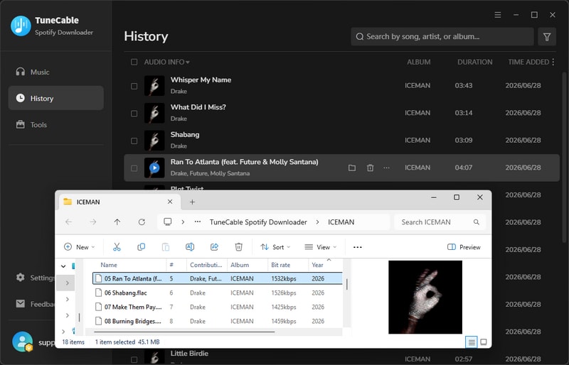 check downloaded spotify lossless music