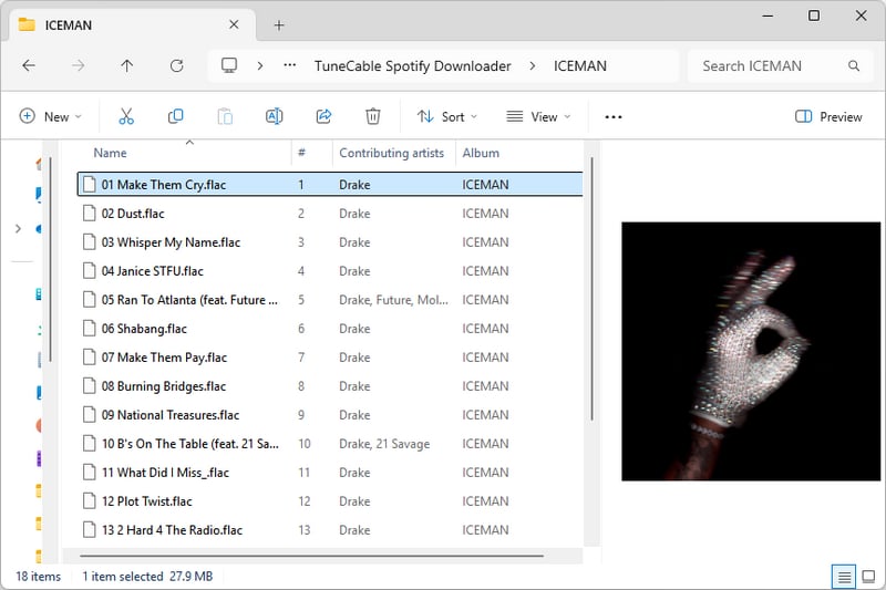 downloaded lossless spotify album list