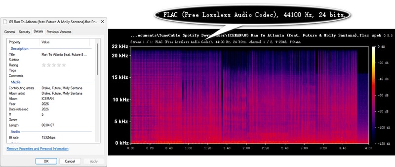 downloaded lossless spotify flac file details
