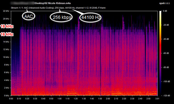 tunecable spotify downloader 256 kbps mp3 spectrum analysis