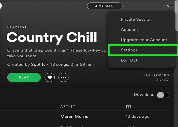 improve spotify streaming audio quality